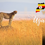 Why Visiting Uganda