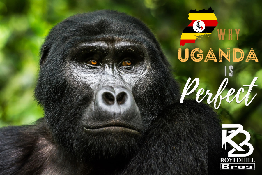 7 Reasons Why Uganda Is Perfect