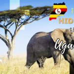 Top 5 Hidden Gems to Visit