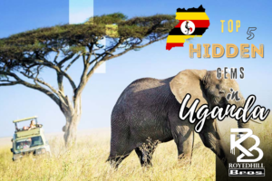 Top 5 Hidden Gems to Visit