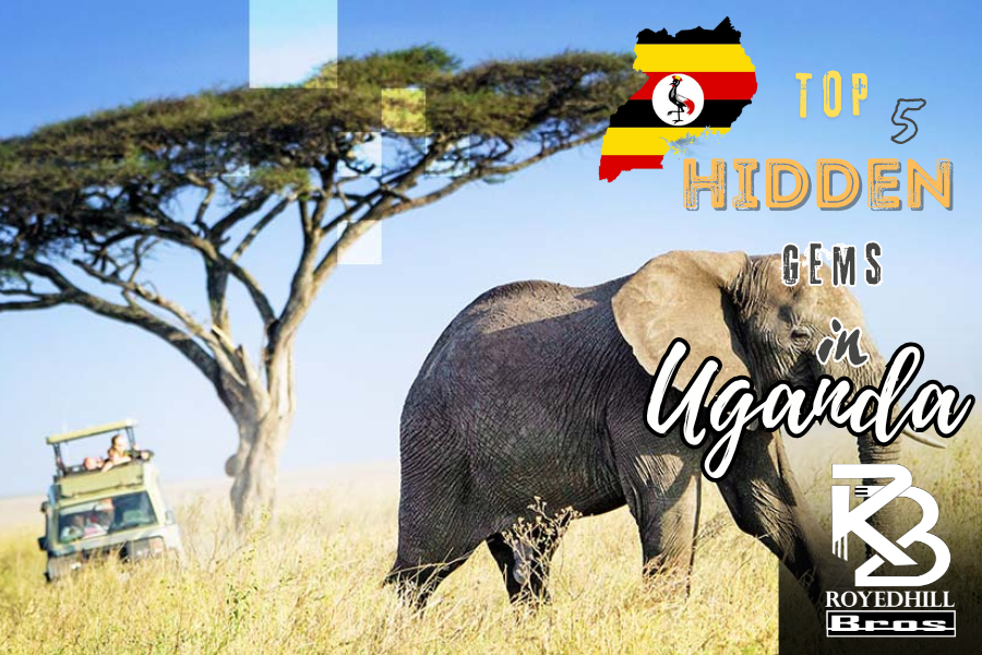 Top 5 Hidden Gems to Visit